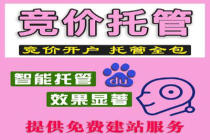 某行业SEM托管代运营的实践与思考